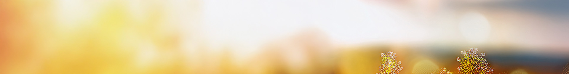 banner categorias mujer